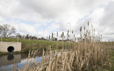 Highways England to Study Road Water and Microplastics Link