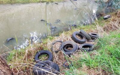 Chemicals in tyres – the new PFAS?
