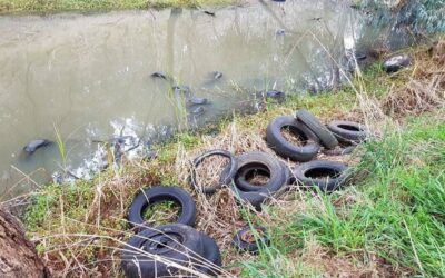 Chemicals in Tyres – the New PFAS?