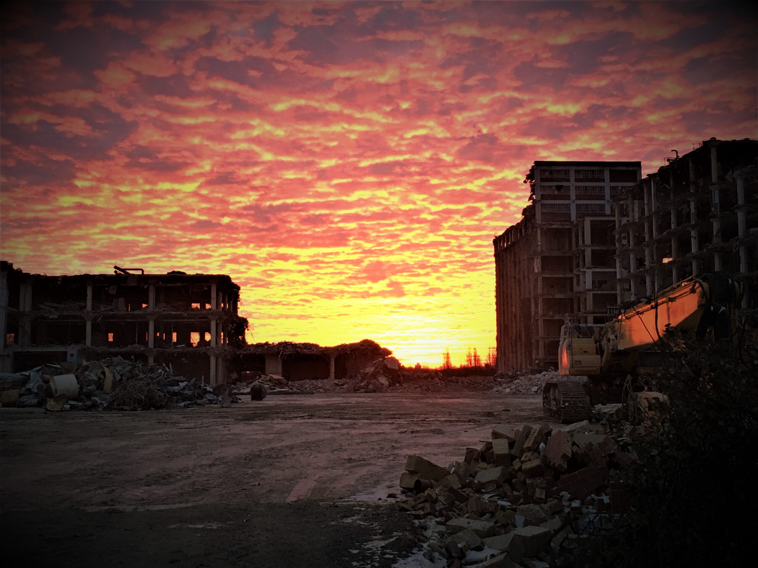 Honey Monster sunrise
