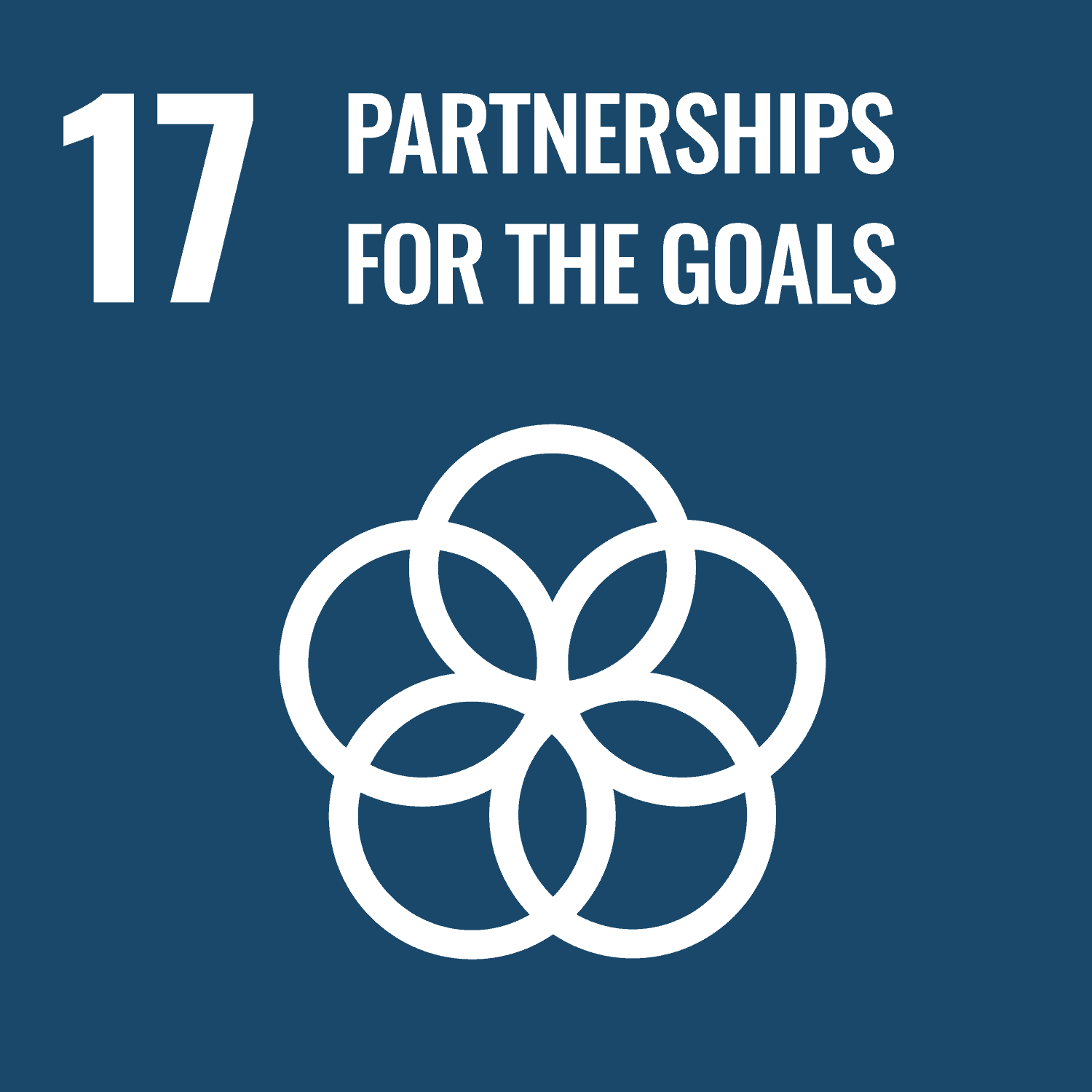 E-WEB-Goal-17 E WEB Goal 17