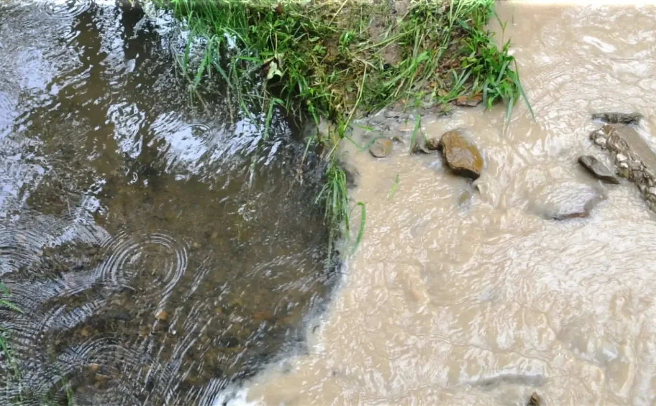 Water Pollution Management Silty Water Environmental Impact 10 Water Pollution Management Silty Water Environmental Impact 10