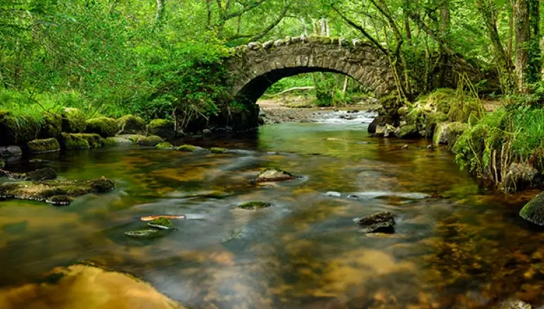 Water Pollution Management Environmental Legislation Your Responsibility 29 Water Pollution Management Environmental Legislation Your Responsibility 29